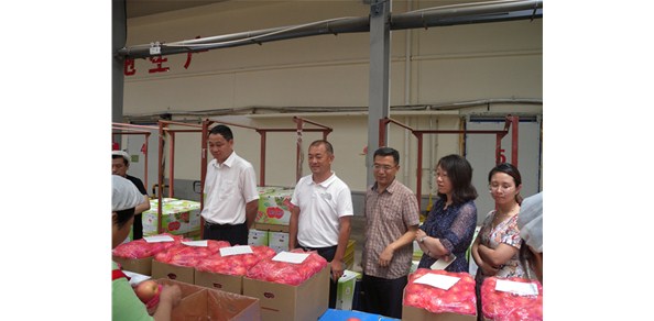 《綠色食品品質(zhì)、營業(yè)功能評價標(biāo)準(zhǔn)課題》調(diào)研在棲霞德豐開展